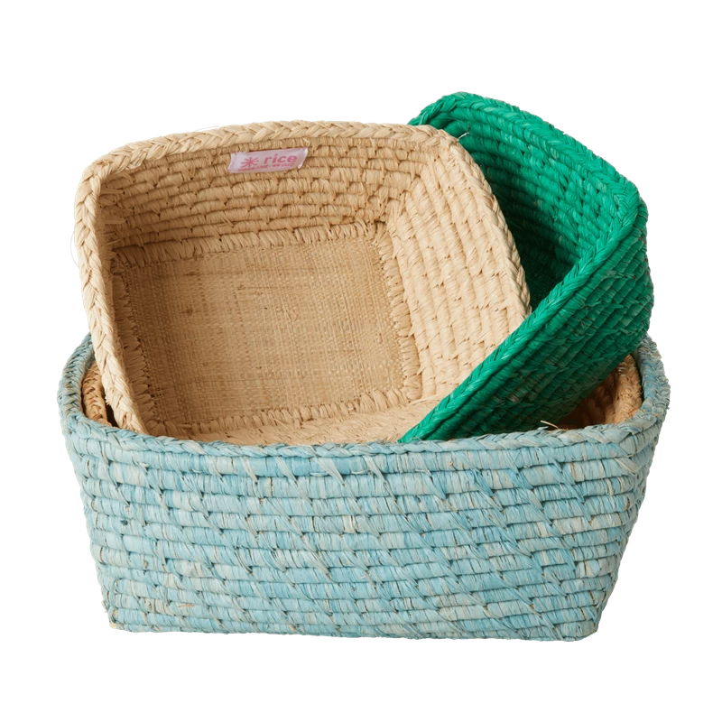 Set of 4 Raffia Rectangular Storage Baskets By Rice DK